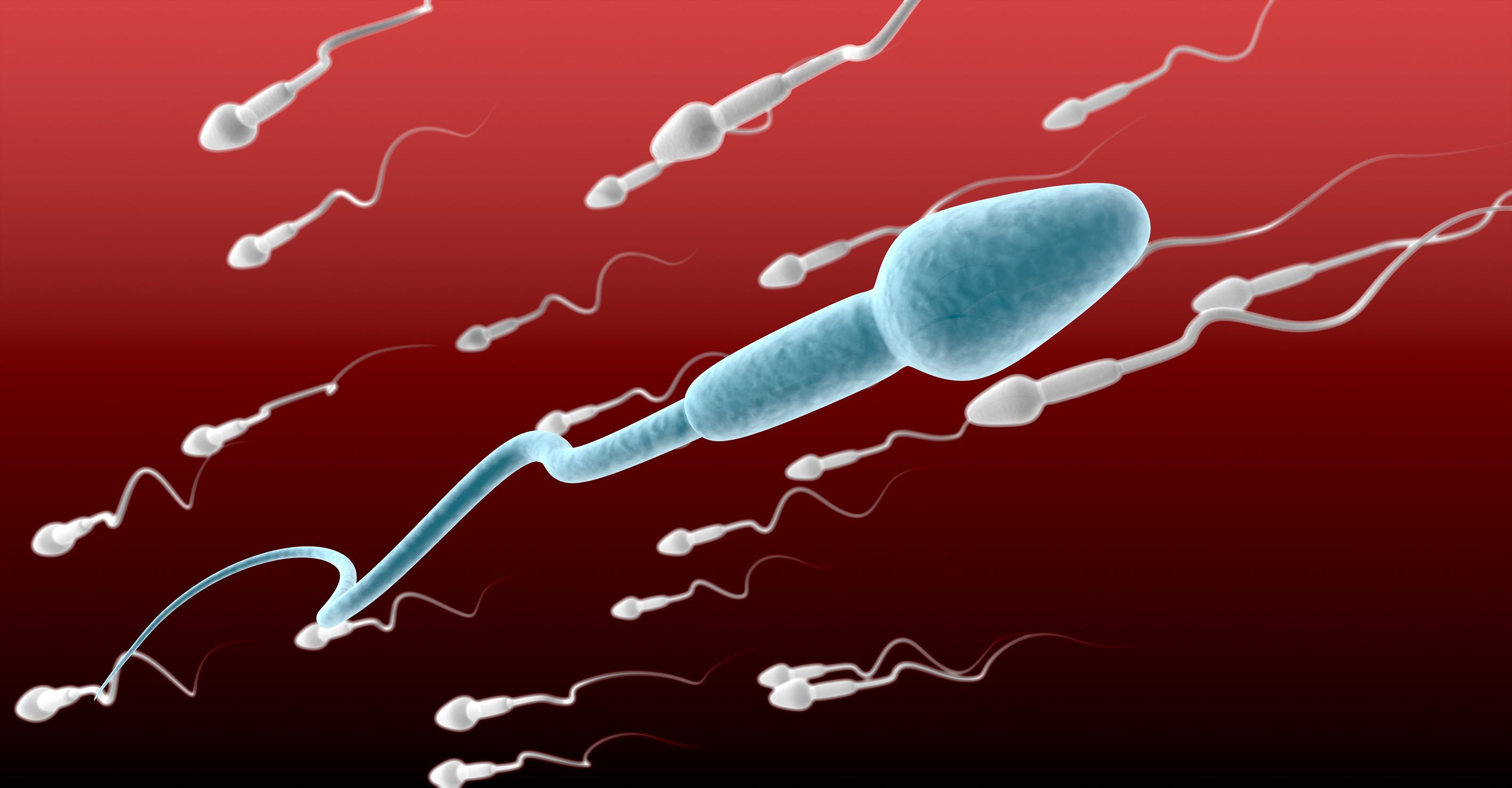 spermiumok.jpg