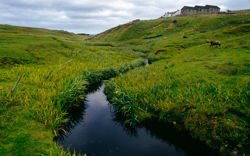 foula.jpg