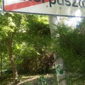 2018.05.12. Futótúra: Latorpuszta - Bükkszentkereszt - Görömböly.