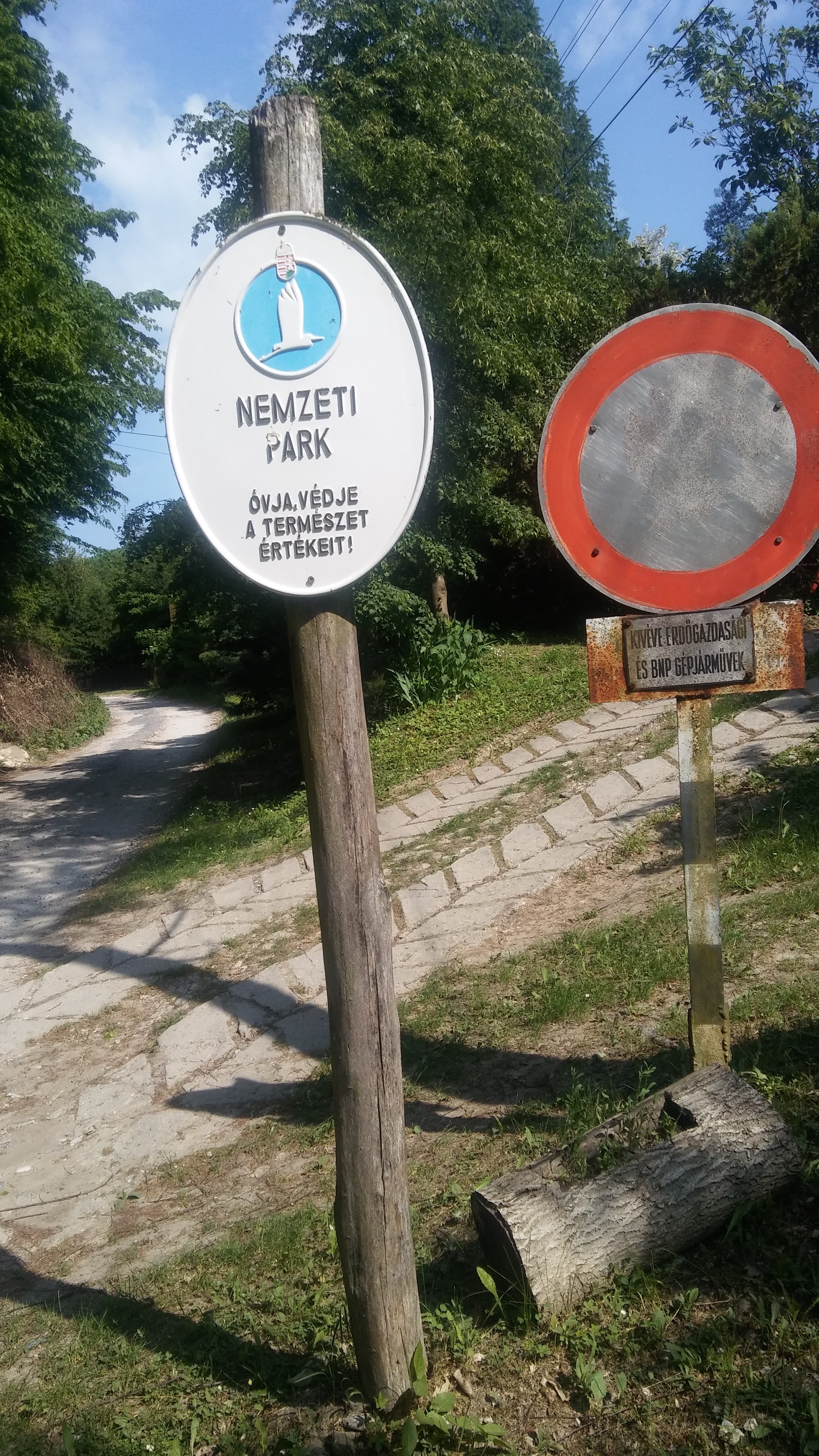 Innen indultam