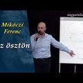 Mikóczi Ferenc: Az ösztön