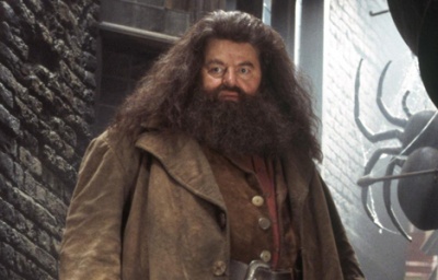 top-25-harry-potter-characters-20110710015046711-000.jpg