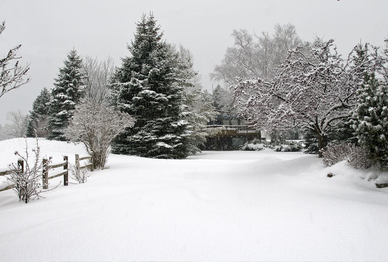 week-49-christmas-eve-snow-in-blue-heaven.jpg