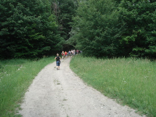 46a_parkolo_fele.jpg