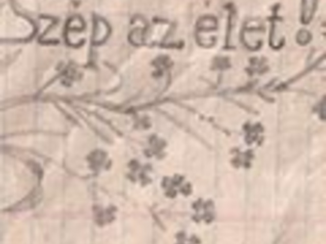 Dávid Ferenc karácsonyai a Nagy Háborúban