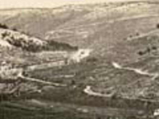 Élethez nyert joggal