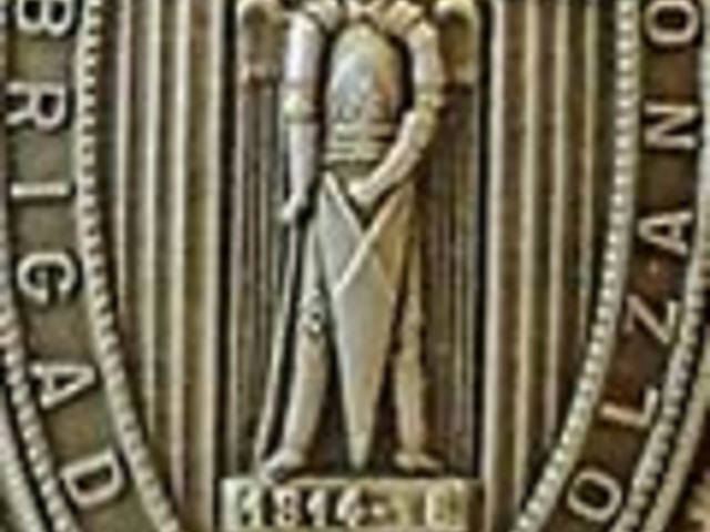 Heinrich Bolzano vezérőrnagy háborús szolgálata a piavei offenzíváig