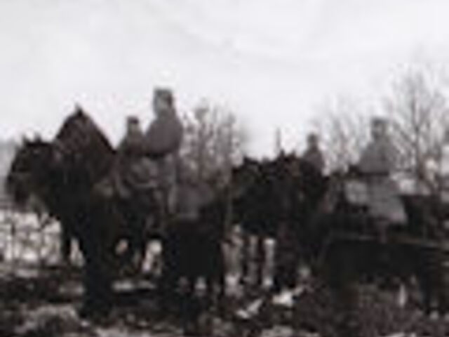 „A Transport Hornisch 134/278 rövid története”