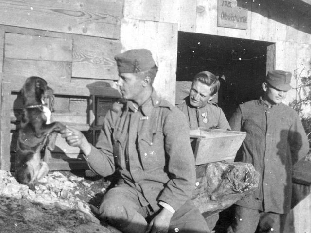 Pucerek és a pacsizó kutya