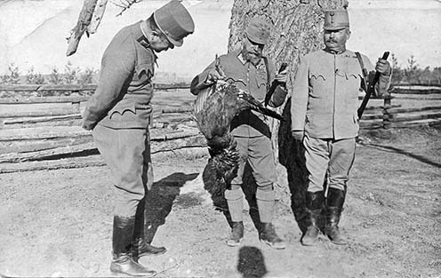 József Ferdinánd főherceg vezérezredes a cs. és kir. 4. hadsereg parancsnok a vadászzsákmánnyal, jobbra mellett Schamschula Rezső vezérőrnagy a 41. honvéd gyaloghadosztály parancsnoka