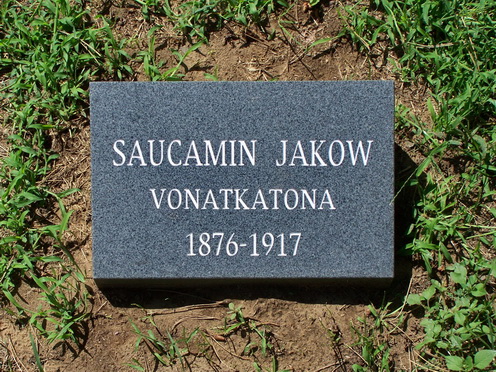 Saucamin Jakow vonatkatona párnaköve