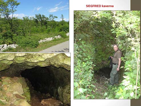 A Siegfried-kaverna bejáratai egy mély dolina oldalában találhatók. Az egyik bejáratnál Pintér Tamás