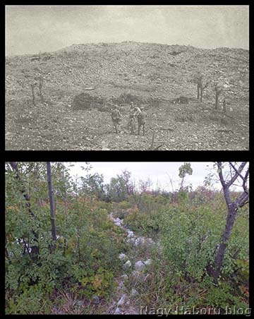 A Monte San Michele egyik csúcsa 1916 őszén (fent) és ugyanaz a csúcs 2012-ben (lent)