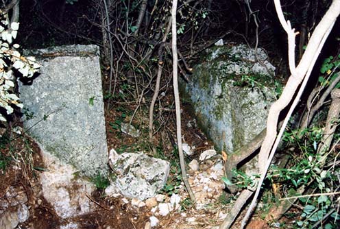 inverno 1995 ritrovamento segni del portale nella vegetazione