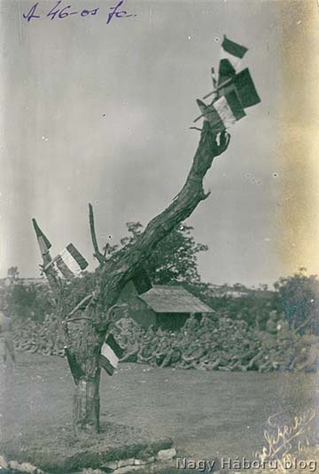 A 46-osok fája, Eck Ferenc említett fotója