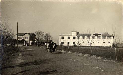 Romans – a 76. tábor kórház 1916 márciusában