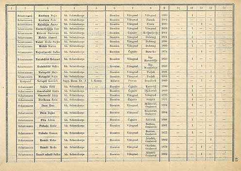 Suckorok az 1914. október 9-i osztrák veszteséglistán (7=járás,8=lakóhely,9=születési év,11=elesett,12=sebesült,13=fogság)