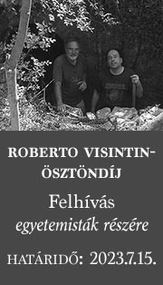 Roberto Visinntin