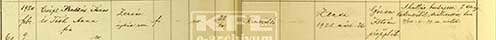 Csépe András halálának/temetésének bejegyzése a zentai Szt. István plébánia halotti anyakönyvébe 60/1921 szám alatt