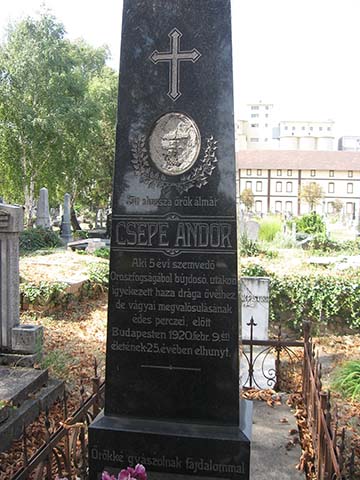 Csépe András síremléke a zentai Felsővárosi temetőben