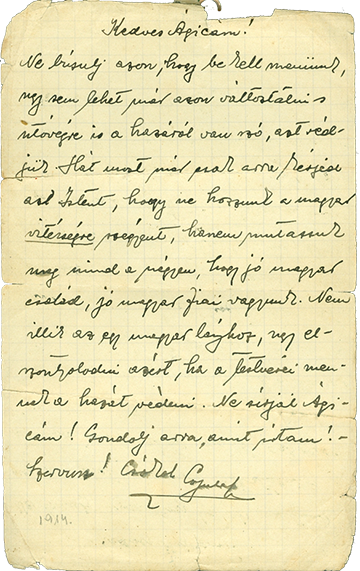 Miklóssy Gyulának testvéréhez, Ágneshez írt levele