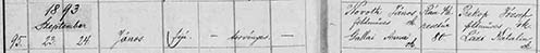 Novoth János születési bejegyzése 1893-ból