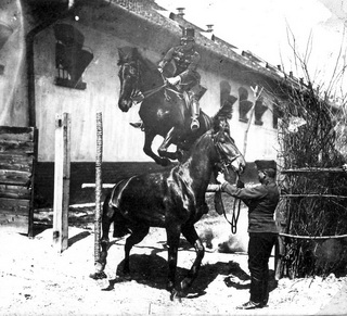 Perczel Olivér ugratása hadnagyként egy 164 cm magas lovon át Nád nevű szolgálati lovával 1908-ban, Budapesten