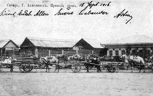 Tűzifát szállító tevekaraván Akmolinszkban korabeli képeslapon