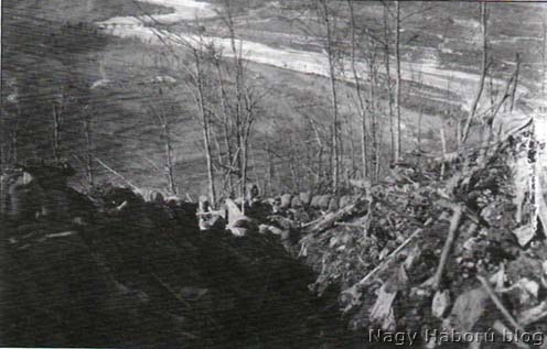 Kilátás a Vodil oldalából a 98/I. zászlóalj állásaiból. A háttérben az Isonzó és a tolmeini híd