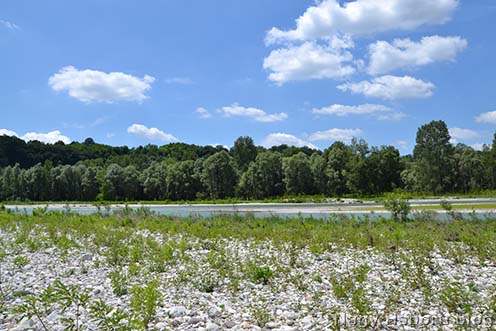 A Piave partja Minánál 100 évvel az eseményeket követően, 2018. június 15-én. Itt kelt át a szegedi 46-osok zöme a folyón és szenvedték el a naplóban is megörökített legsúlyosabb veszteségeiket (Pintér Tamás felvétele)