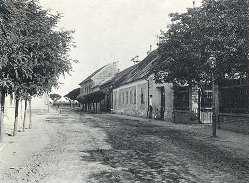 A ma már nem létező Szegfű utca a mai Somogyi Béla utcával párhuzamosan a mostani klinikakert területén futott ki a Tisza-partra