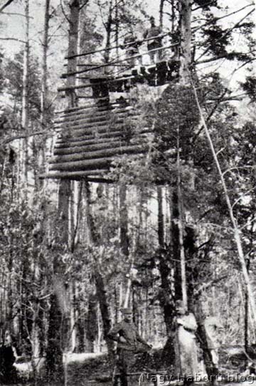A fenyőfák tetejére épített magas tüzérségi megfigyelő az olykai erdőszélen
