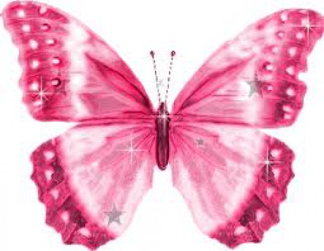 pink-lepke.jpg