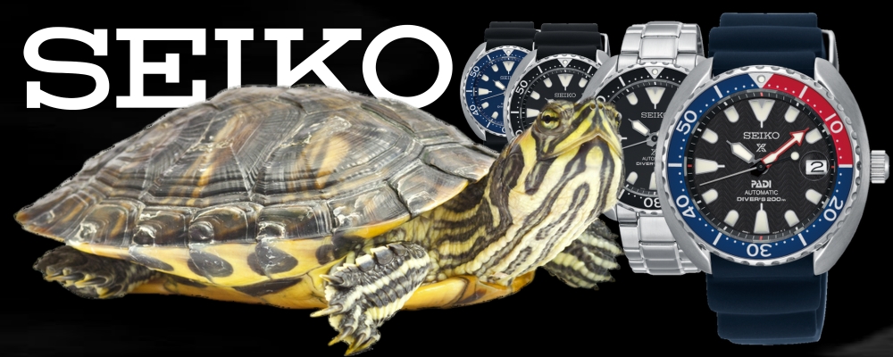 seiko-baby-turtle-nmb-20171130.jpg
