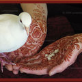 Henna