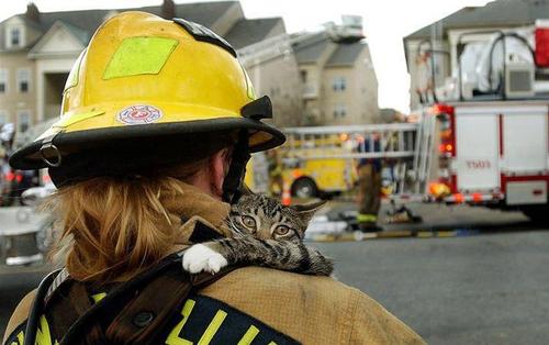 rescue_8.jpg