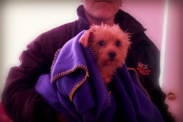 sandy_update.jpg