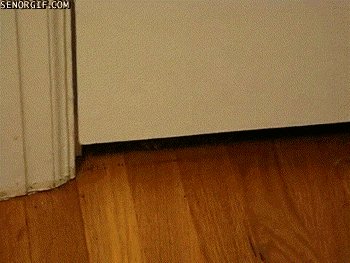 escape_2.gif