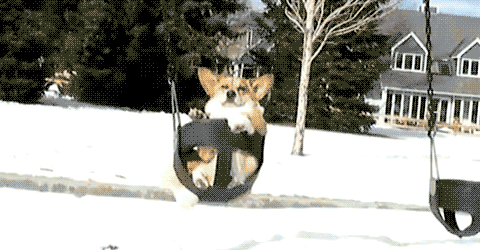 hinta_1.gif