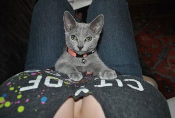 cici_12.jpg
