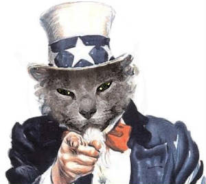 samkitty.jpg
