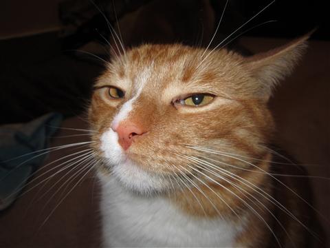 unimpressed_2.jpg
