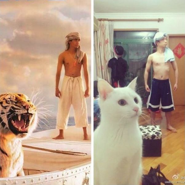 life_of_pi.jpg