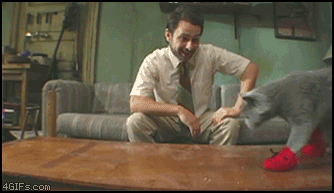 mamusz_7.gif