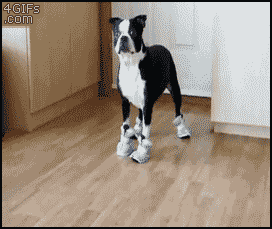 mamusz_8.gif