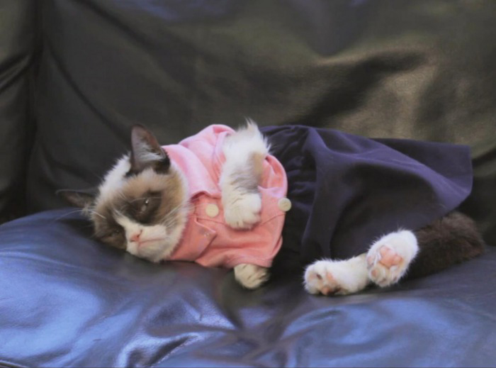 morcc_dress.jpeg