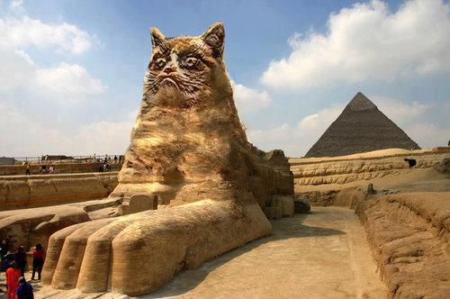 morcc_sphinx.jpg