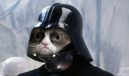 morcc_vader.jpg