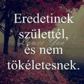 Napi idézet