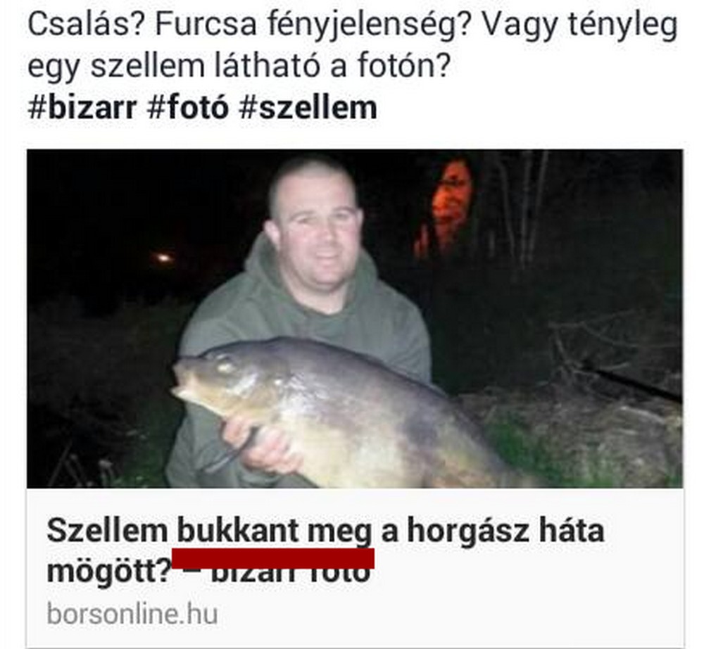 bukkant1_1.jpg